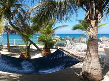 Cayman Islands Scuba Diving Holiday. Grand Cayman Dive Centre. Hammock.